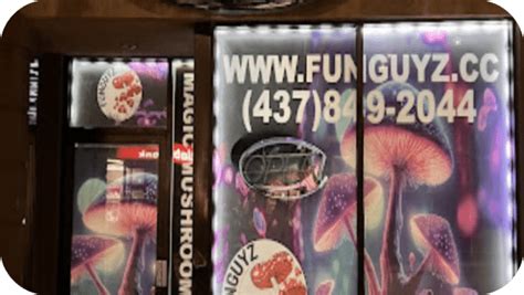 fun guys windsor|magic mushroom dispensary windsor.